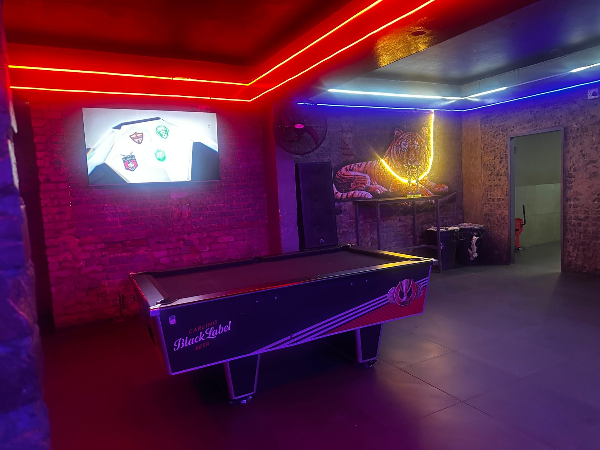 Pool lounge and tiger feature wall at Cheeky Tiger Bree Street